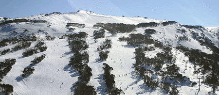 Thredbo Alpine Hotel - Kawana Tourism