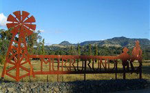 Valley View Motel Murrurundi - Murrurundi - Kawana Tourism 3
