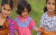Barrington Tops Organic Retreat - thumb 2