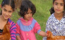 Barrington Tops Organic Retreat - Kawana Tourism 2
