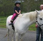 Mansfield Cottage Barrington Tops Accommodation - Kawana Tourism