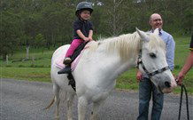 Mansfield Cottage Barrington Tops Accommodation - Kawana Tourism 0