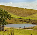 Sanctuary Hill Retreat - Kawana Tourism