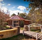 Starline Alpaca Farm Stay - Kawana Tourism