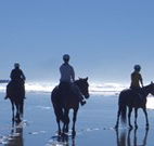 Whispering Brook - Kawana Tourism