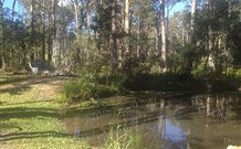 Bay N Beach Bed And Breakfast - - Kawana Tourism 1