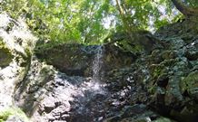 Cougal Park Bed And Breakfast - Kawana Tourism 3