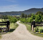 Pemberley Grange Hunter Valley Getaway - Kawana Tourism