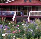 Rose Patch Bed and Breakfast - Kawana Tourism