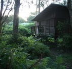 Mount Seaview Resort - Kawana Tourism