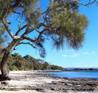 David Jones Cottage - Kawana Tourism