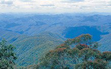 Lyrebird Studio - Kawana Tourism 2