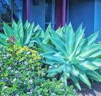 Retreat Homestead - Kawana Tourism