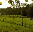 Stone Cottage Mittagong - Kawana Tourism