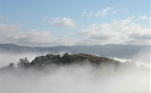 Tristania Tops Barrington - Kawana Tourism 2