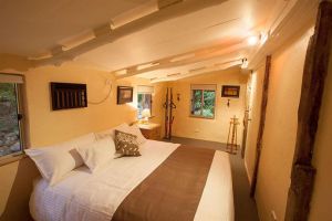 Lyrebird Studio - Kawana Tourism 3