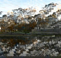 Greysen Farmstay - Kawana Tourism