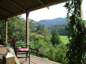 Fairview Farm Cottages - Kawana Tourism 6