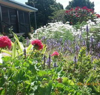 Eastwood Farm - Kawana Tourism
