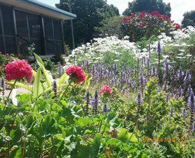 Eastwood Farm - Kawana Tourism 0