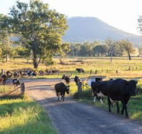 Tommerups Dairy Farmstay - Kawana Tourism