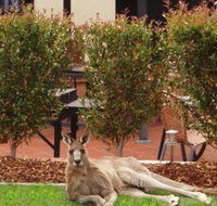 Alpha Canberra Hotel and Apartments - Kawana Tourism
