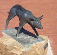 The Ardlethan Kelpie Caravan Park - Kawana Tourism