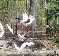 Rakhi Retreat - Kawana Tourism