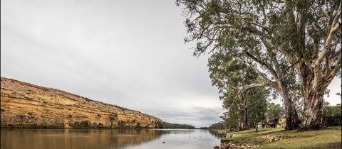 River Shack Rentals - Living The Dream - Kawana Tourism 4