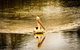 River Shack Rentals - Living The Dream - thumb 55