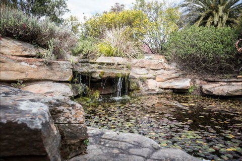 River Shack Rentals - Living The Dream - Kawana Tourism 35