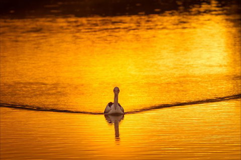 River Shack Rentals - Living The Dream - Kawana Tourism 0