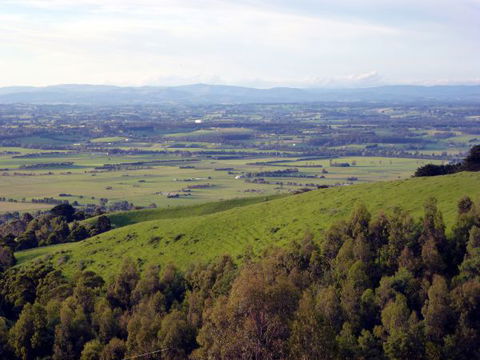 Anderley - Kawana Tourism 6