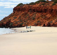Herald Bight Camp at Francois Peron National Park