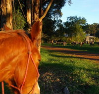 Billa Billa Farm Cottages - Kawana Tourism
