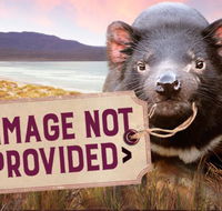 Thalia Haven - Kawana Tourism