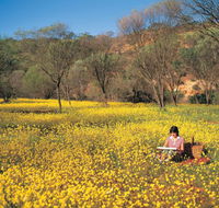 Miners Camp at Coalseam National Park - Kawana Tourism
