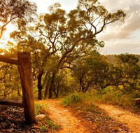Kurrajong Trails and Cottages - Kawana Tourism