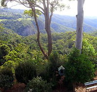 Mt Tamborine Motel - Kawana Tourism