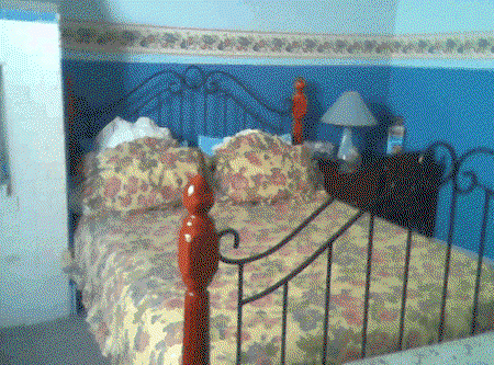 Hamilton Heritage Bed & Breakfast - Kawana Tourism 2