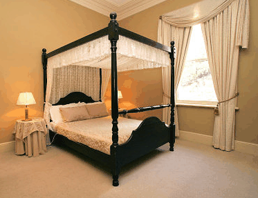 Waratah On York - Kawana Tourism 1