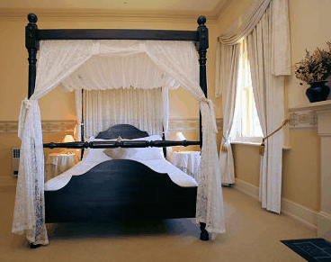 Waratah On York - Kawana Tourism 2