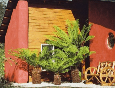 Whispering Spirit Cottage  Miniature Pony Stud - Kawana Tourism
