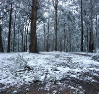 High Peaks Cottages - Kawana Tourism