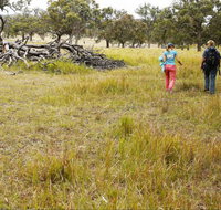 Carnarvon National Park camping - Kawana Tourism
