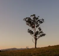 Faulls Ridge Winery - Kawana Tourism