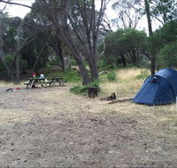 Allports Beach Camping Ground - Kawana Tourism