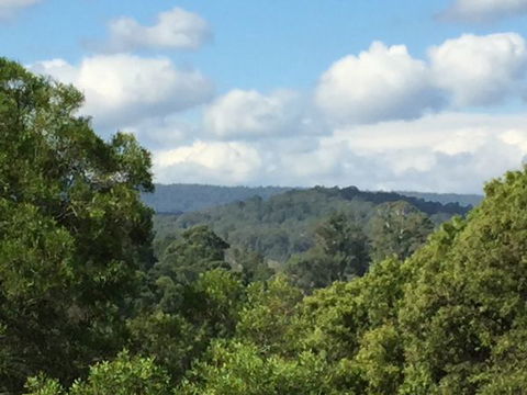 Barrington Tops Escapes - Kawana Tourism 3
