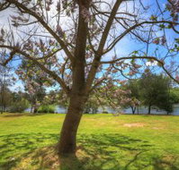 Breakaway Twin Rivers Caravan Park - Kawana Tourism
