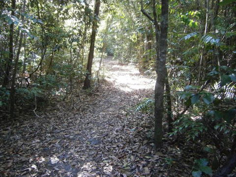 Byfield Cabins On Waterpark Creek - Kawana Tourism 5